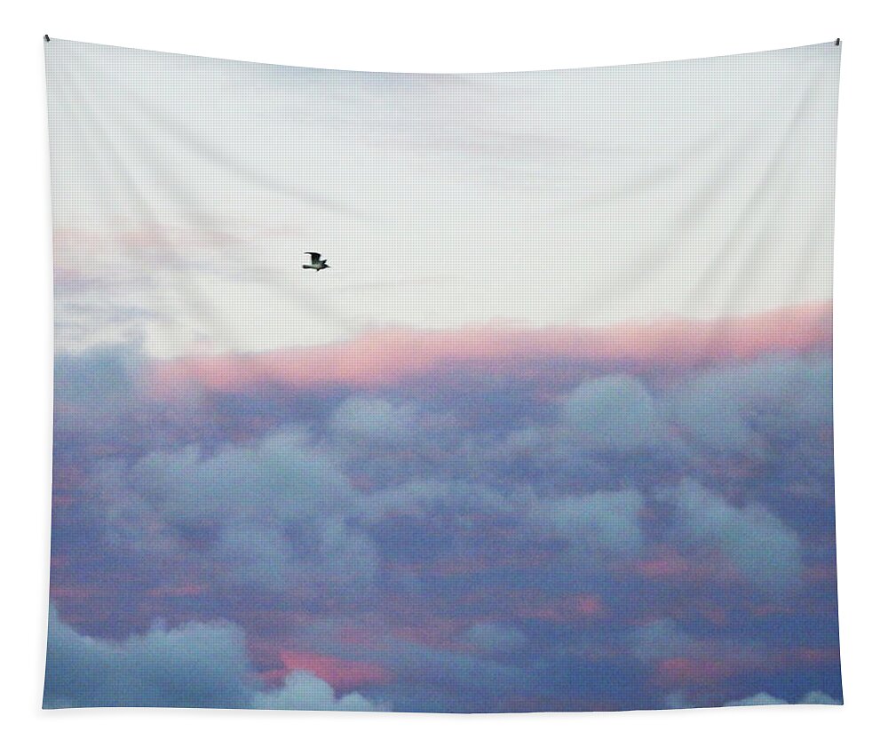 Bird Tapestry featuring the photograph Bird in Flight at Sunrise by Celtic Artist Angela Dawn MacKay