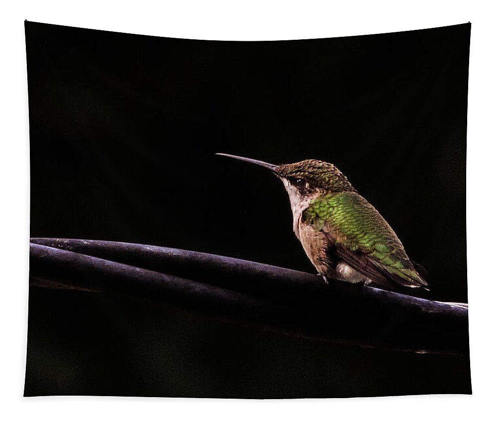 Bird Tapestry featuring the photograph Bird on a Wire by Randy J Heath