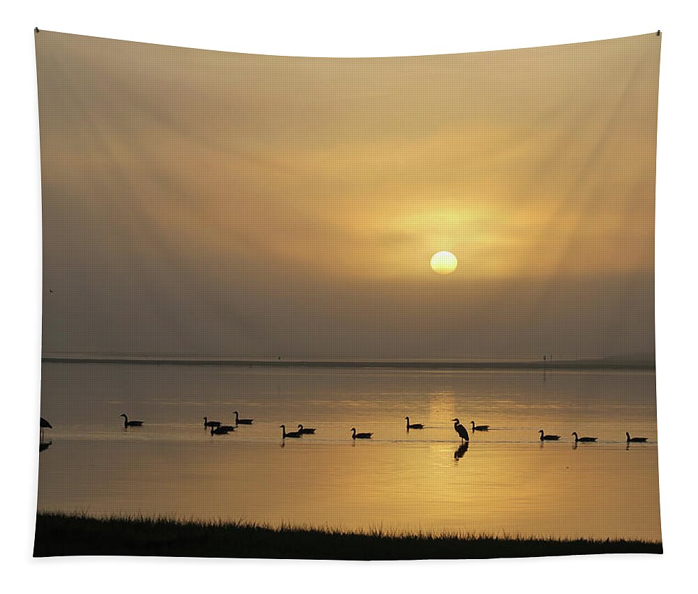 Birds Tapestry featuring the photograph Birds On A Hazy Day by Robert Banach