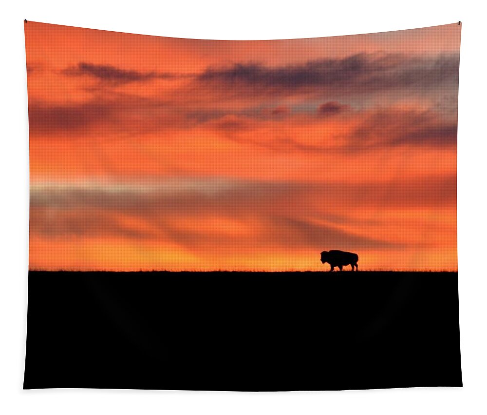  Tapestry featuring the photograph Bison in the Morning Light by Keith Stokes