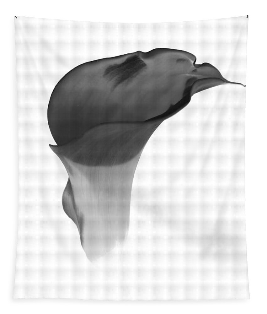 Flowers Tapestry featuring the photograph Black and White Lily 2 by Steven Clipperton