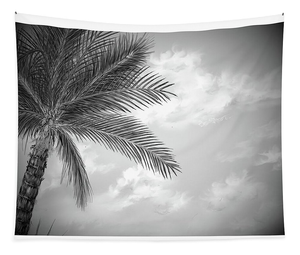 Cloud Tapestry featuring the digital art Black and white palm by Darren Cannell
