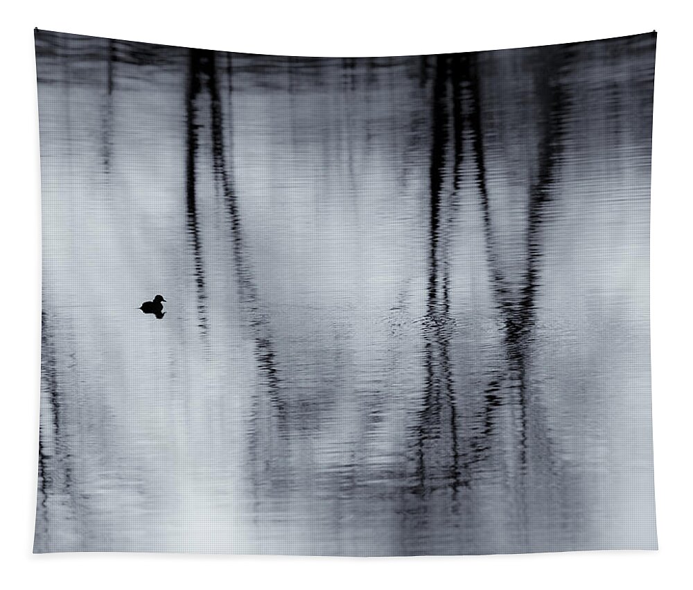 Reflection Tapestry featuring the photograph Black and White Reflections by Bill Wakeley