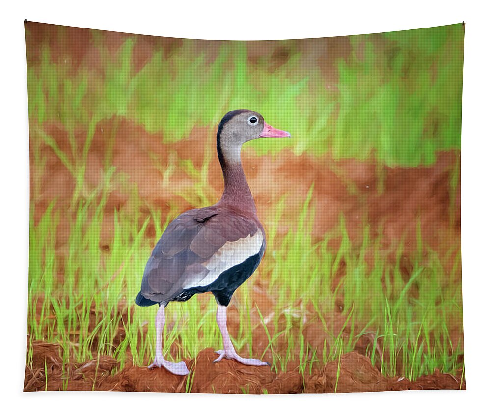 Joan Carroll Tapestry featuring the photograph Black-Bellied Whistling Duck Costa Rica by Joan Carroll