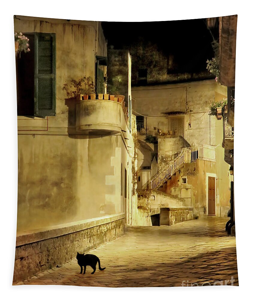 Matera Tapestry featuring the photograph Silent Paws in Matera.Italy by Jennie Breeze