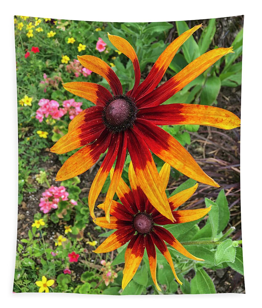 Black-eyed Susans Tapestry featuring the photograph Black-Eyed Susans by Lorraine Baum