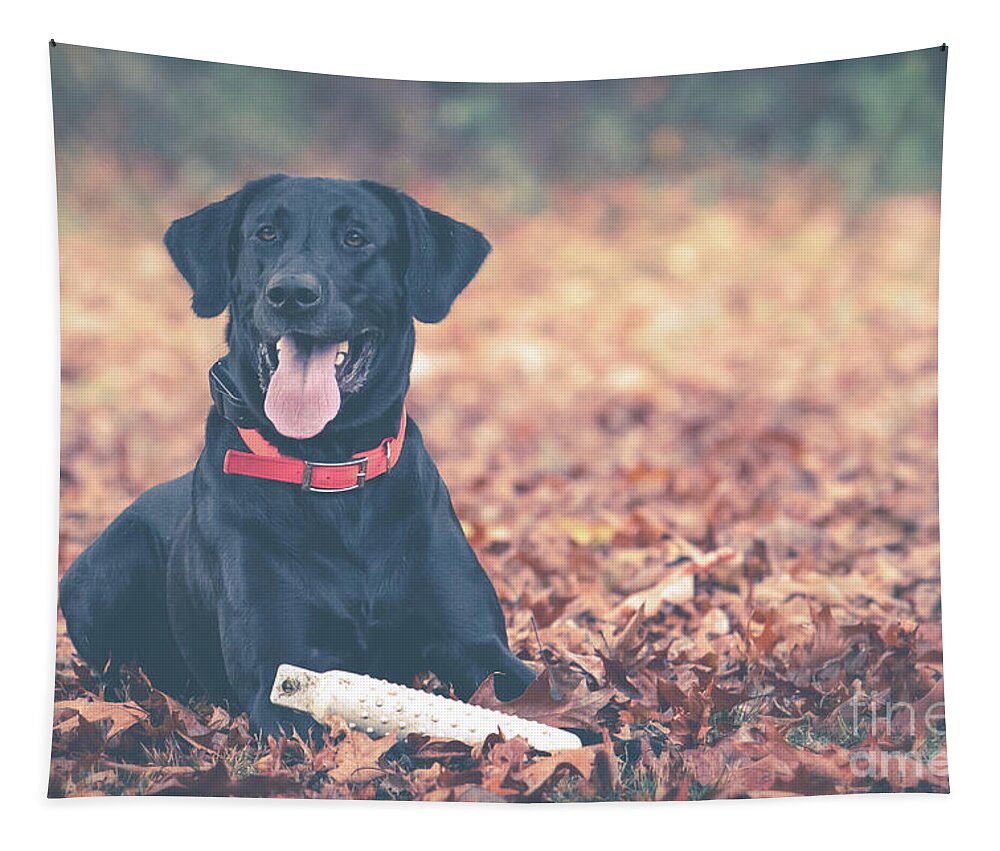 Etriever Tapestry featuring the photograph Black Labrador in the Fall Leaves by Eleanor Abramson