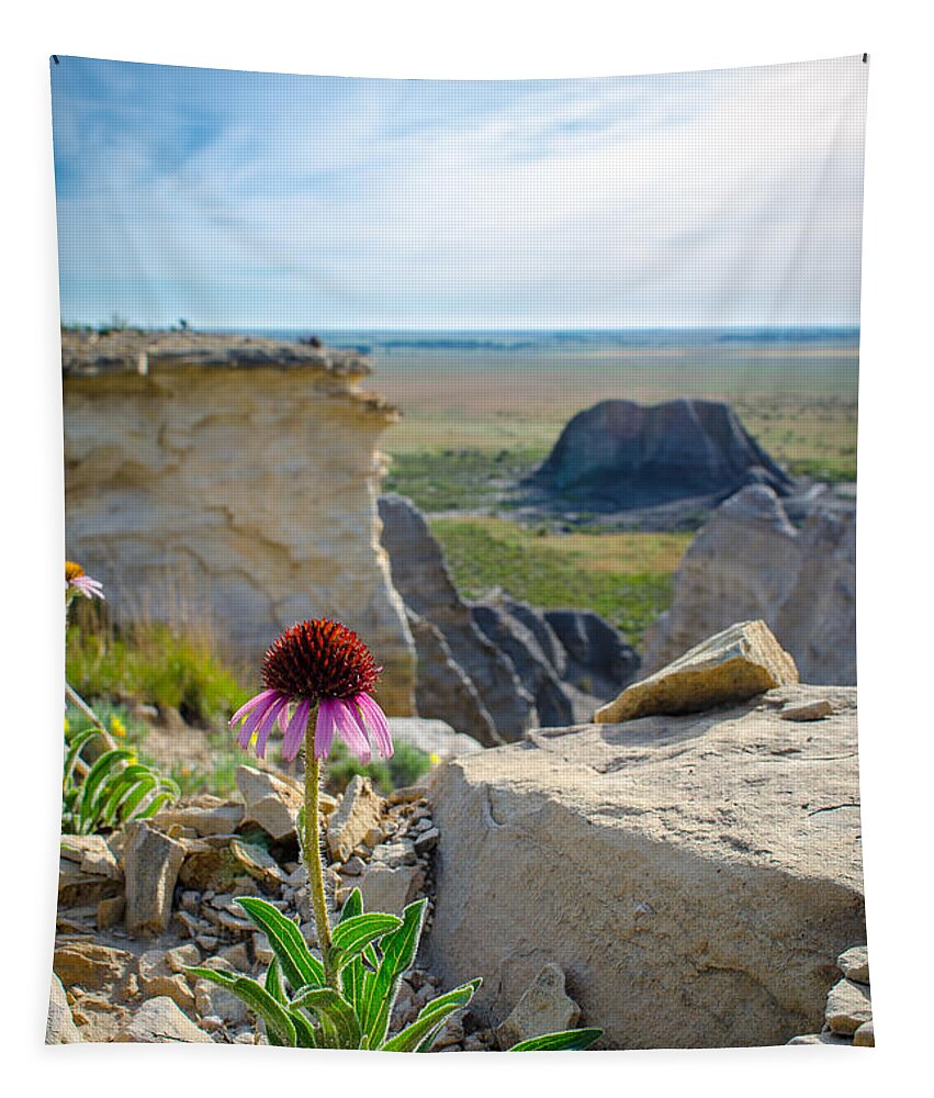 Nature Tapestry featuring the photograph Black Sampson in the Badlands by Jeff Phillippi