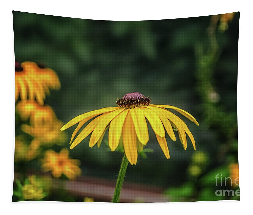 Michelle Meenawong Tapestry featuring the photograph Blackeyed Susan by Michelle Meenawong