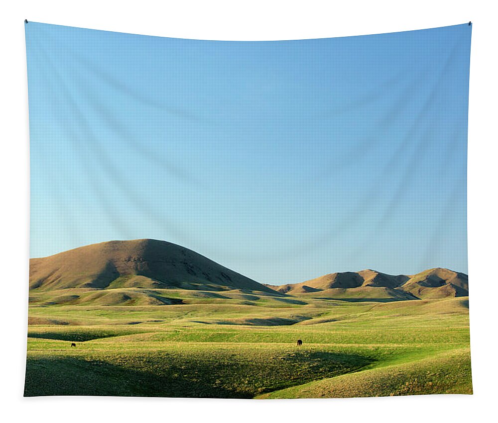 Chinook Tapestry featuring the photograph Blaine County USA by Todd Klassy