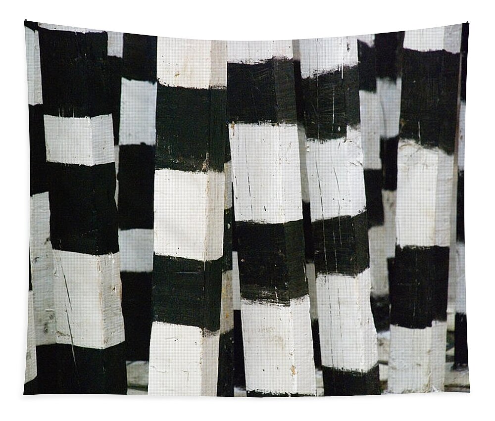 Skip Hunt Tapestry featuring the photograph Blanco y Negro by Skip Hunt