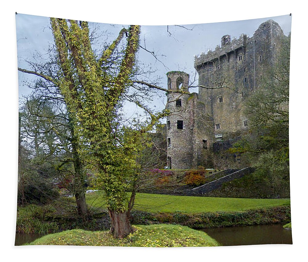 Ireland Tapestry featuring the photograph Blarney Castle 3 by Mike McGlothlen