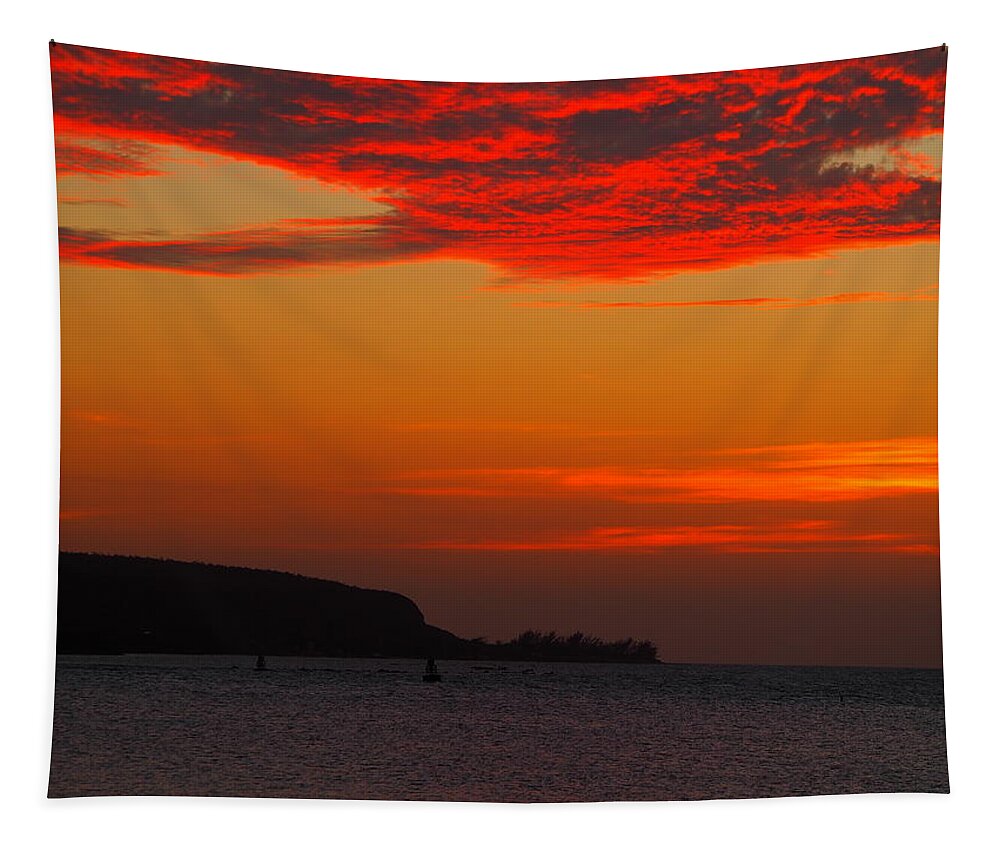 Sunset Tapestry featuring the photograph Blaze by Jessica Myscofski