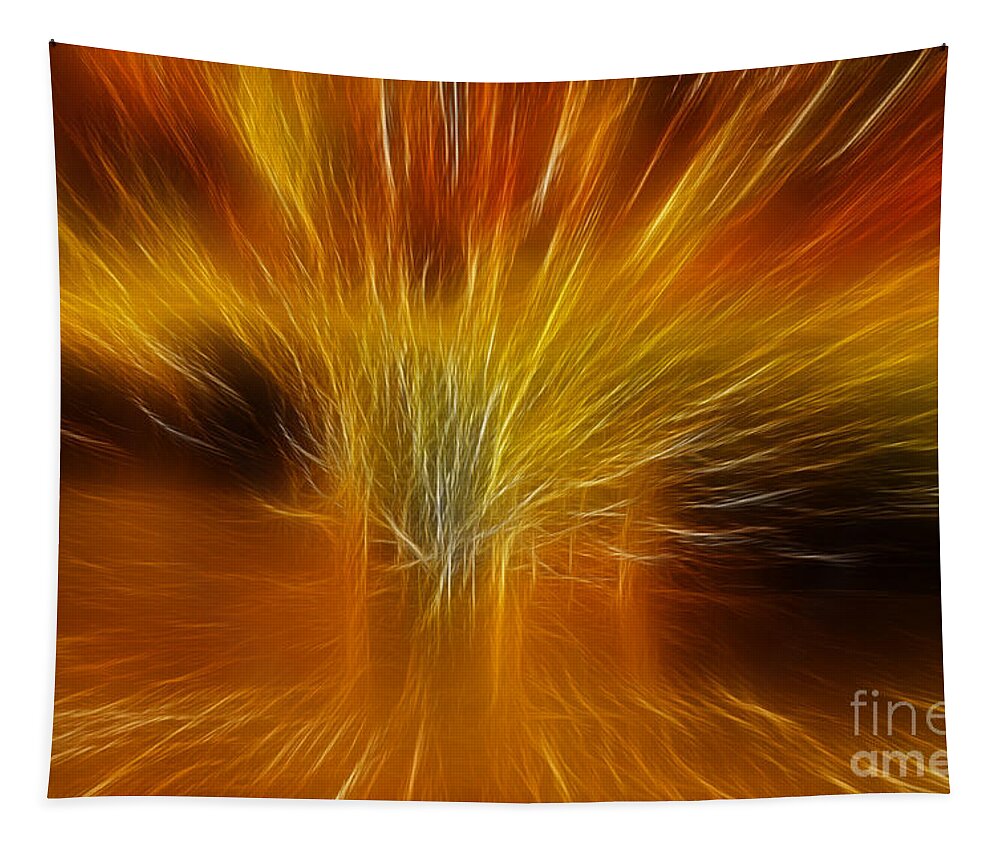 Blazing Tapestry featuring the photograph Blazing by Vivian Christopher
