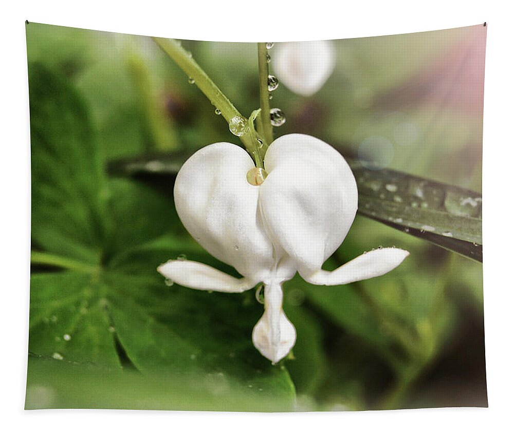 White Tapestry featuring the photograph Bleeding Heart by Amber Flowers