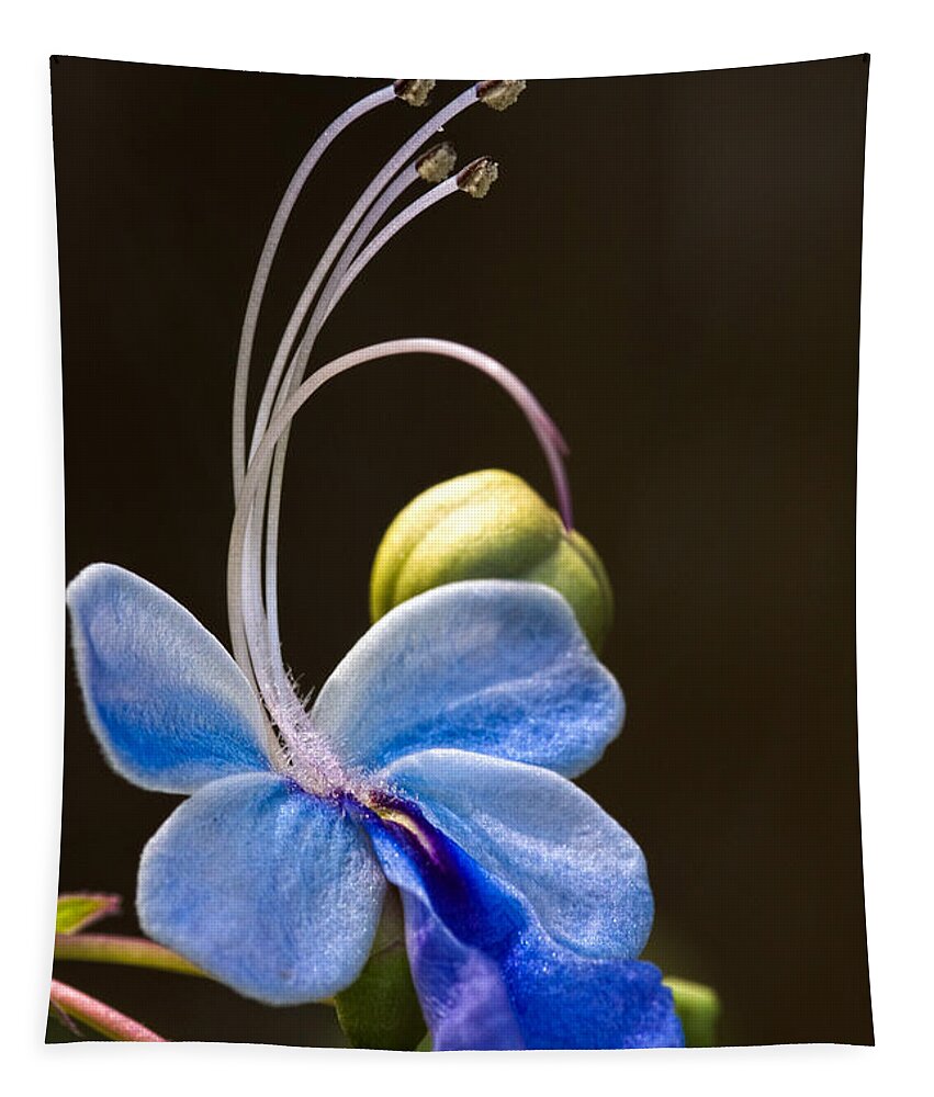 Flower Tapestry featuring the photograph Blooming Butterfly by Christopher Holmes