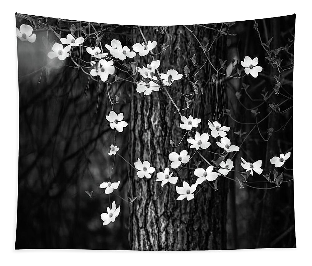 Yosemite Tapestry featuring the photograph Blooming Dogwoods in Yosemite Black and White by Larry Marshall