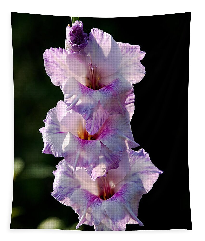 Blooms Tapestry featuring the photograph Blooms on a Stick by Christopher Holmes