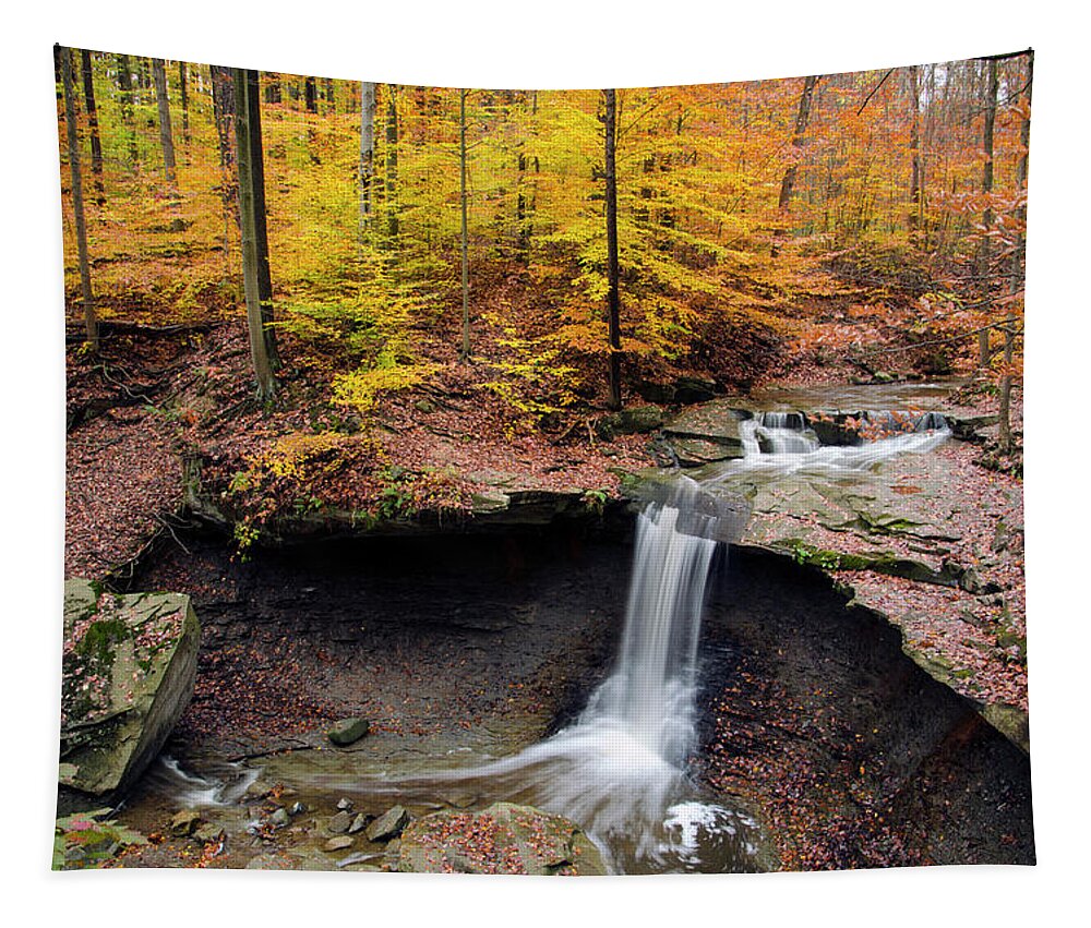 Ohio Tapestry featuring the photograph Blue Hen Falls 2 by Ann Bridges