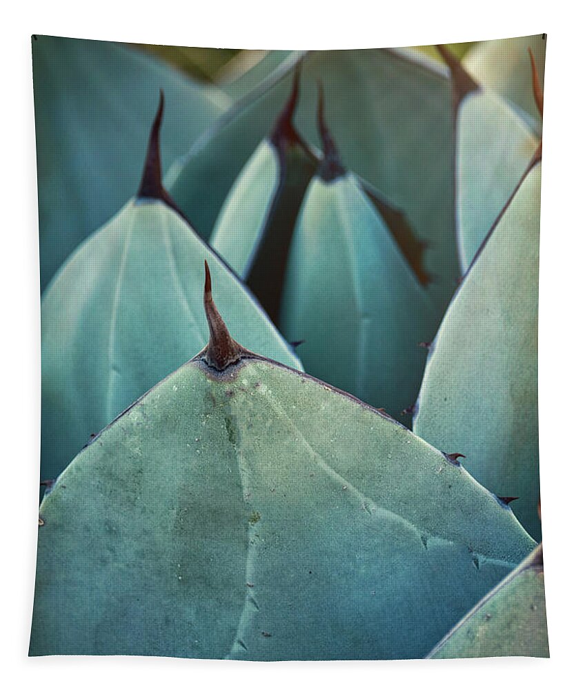 Agave Tapestry featuring the photograph Blue Agave by Saija Lehtonen
