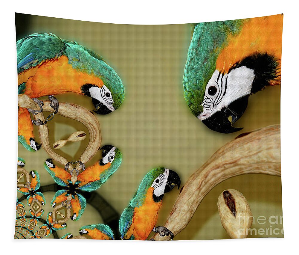 Macaw Tapestry featuring the photograph Blue And Gold Macaw Parrot Abstract by Smilin Eyes Treasures