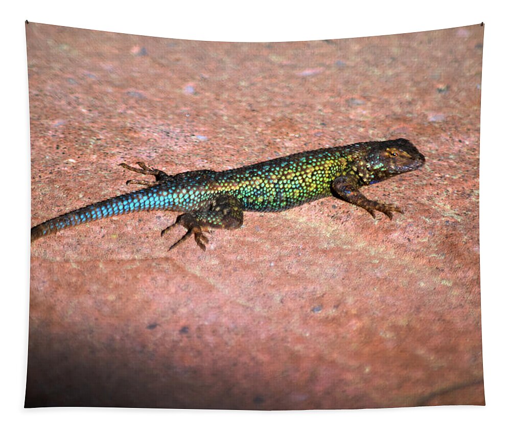 Blue Bellied Fence Lizard In Breeding Colors Tapestry featuring the photograph Blue Bellied Fence Lizard in Breeding Colors by Frank Wilson
