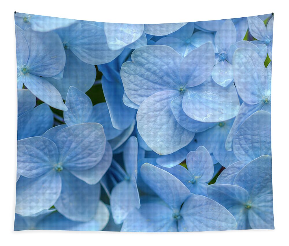 Hydrangea Tapestry featuring the photograph Blue Cluster by Kristina Rinell