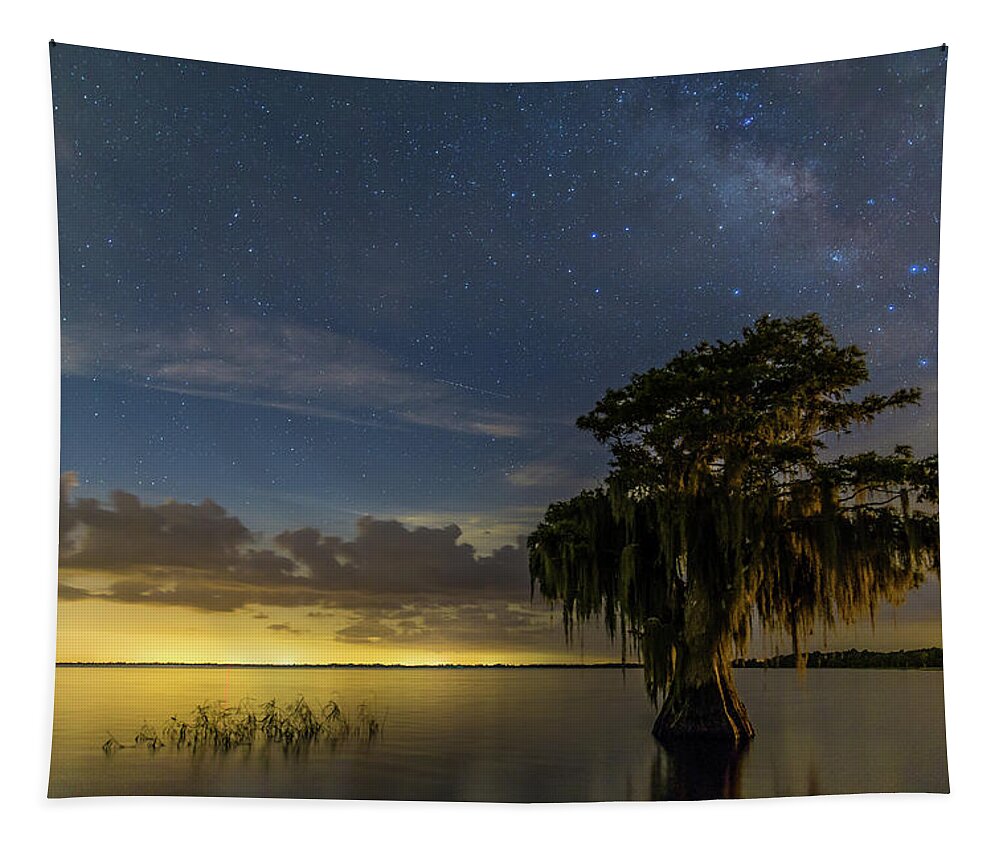 Blue Cypress Lake Tapestry featuring the photograph Blue Cypress Lake Nightsky by Stefan Mazzola