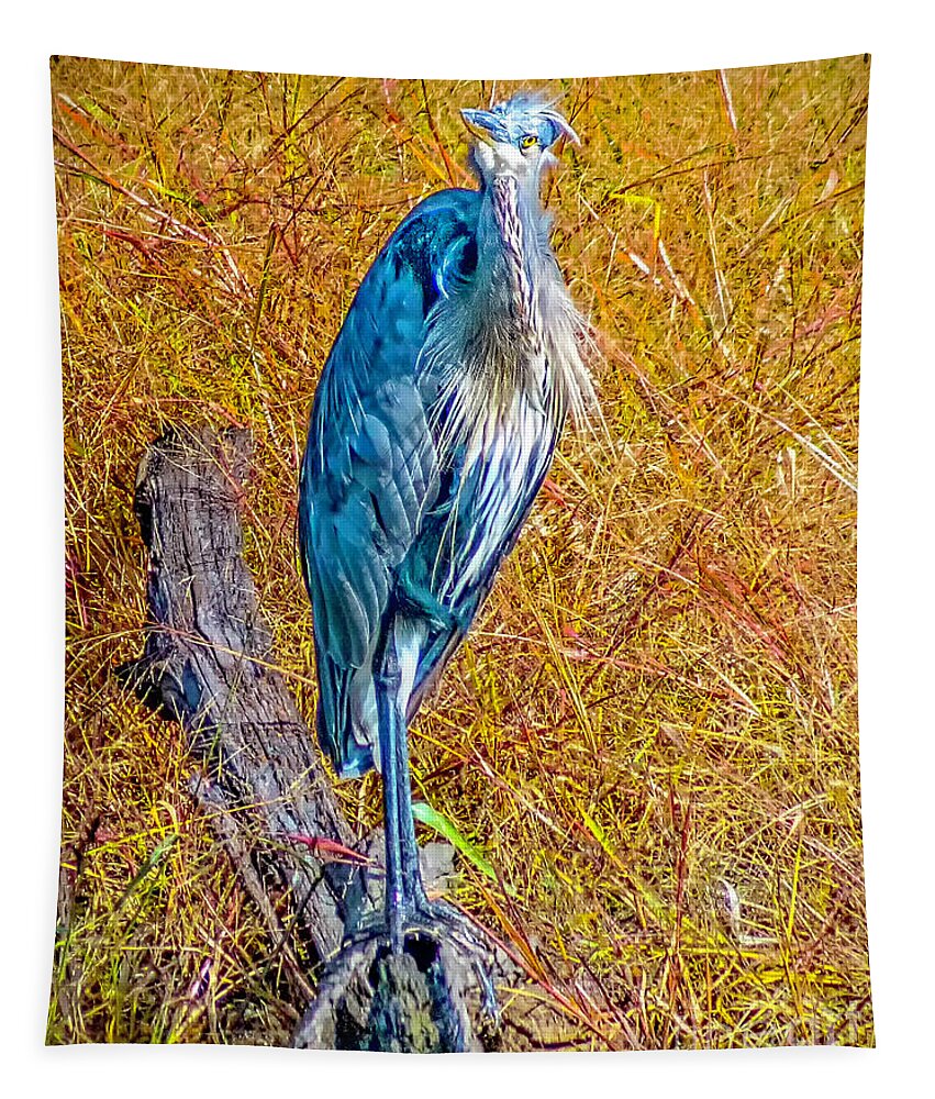 Blackwater Tapestry featuring the photograph Blue Heron in Maryland by Nick Zelinsky Jr