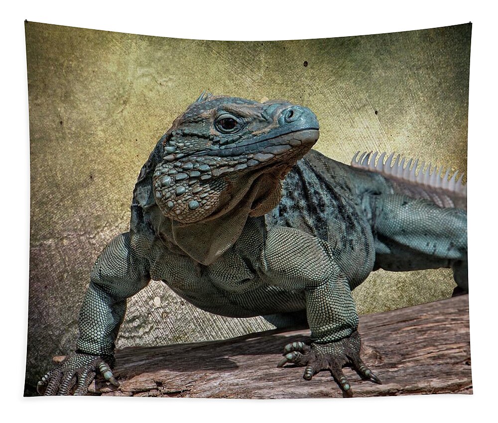 Animal Tapestry featuring the photograph Blue Iguana by Teresa Wilson