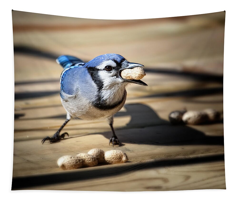 Blue Jay Tapestry featuring the photograph Blue Jay eating a Peanut by Al Mueller