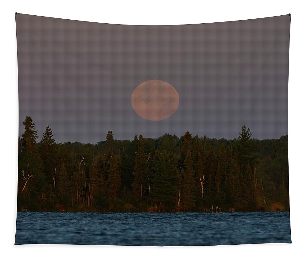 Moon Tapestry featuring the photograph Blue Moon over Berry Lake by Steven Clipperton