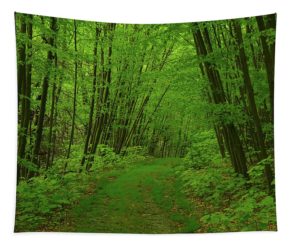 Blue Mountain Lakes Tapestry featuring the photograph Blue Mountain Lakes Trail by Raymond Salani III