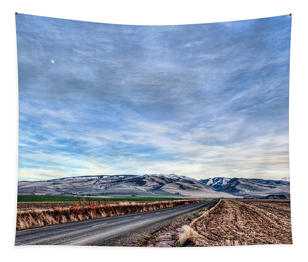 Walla Walla Tapestry featuring the photograph Blue Mountains and Moon by Dan McManus