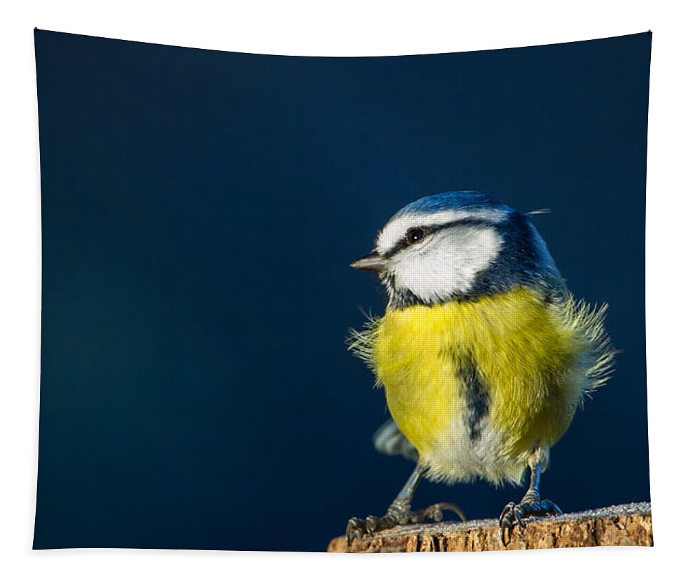 Blue On Blue Tapestry featuring the photograph Blue on Blue by Torbjorn Swenelius
