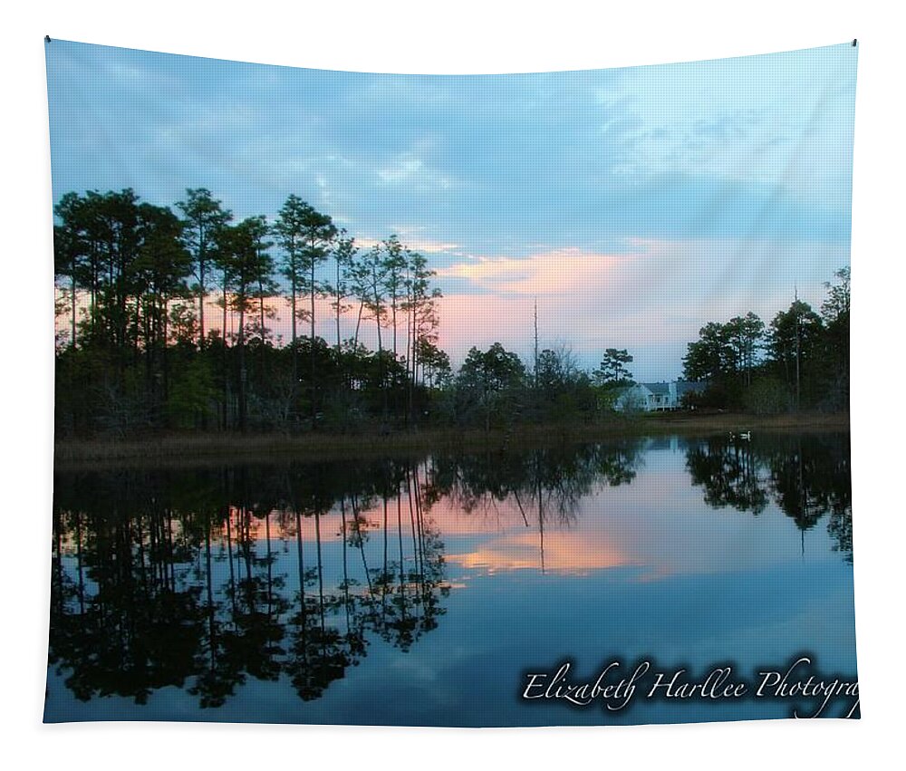  Tapestry featuring the photograph Blue Reflections by Elizabeth Harllee