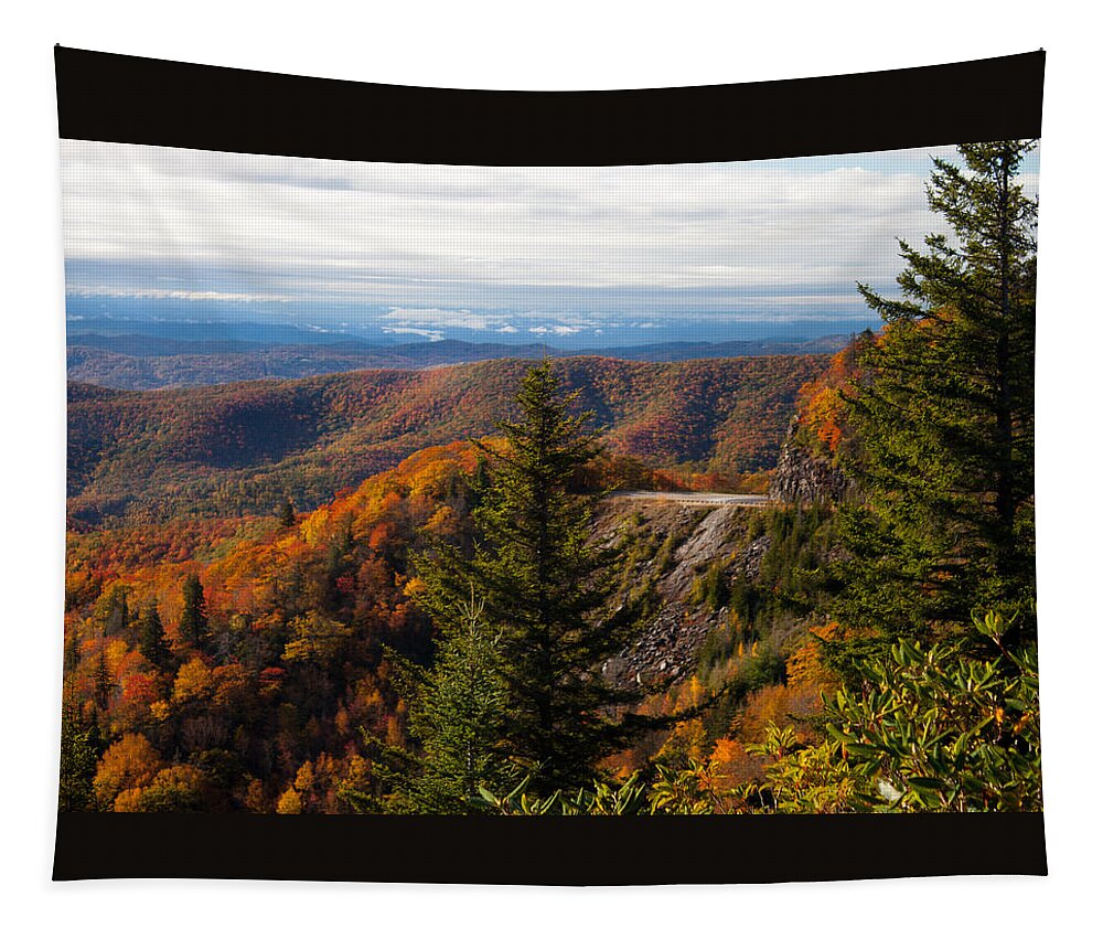Overlook Tapestry featuring the photograph Blue Ridge Parkway by Lena Auxier
