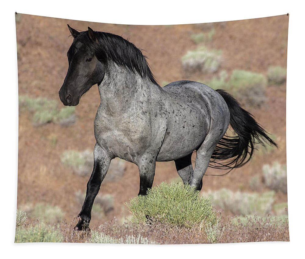 Wild Horse Tapestry featuring the photograph Blue surprise by John T Humphrey