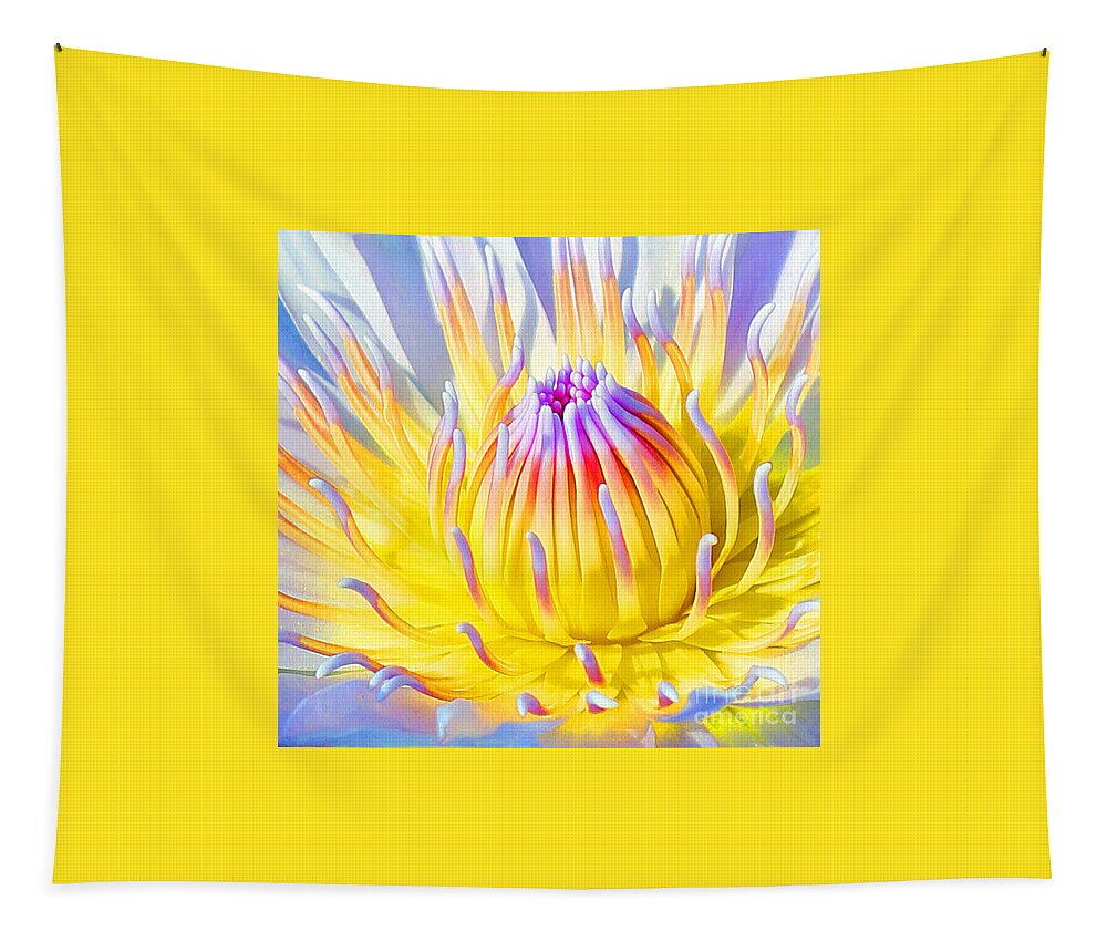  Blue Lotuses Tapestry featuring the photograph Blue Yellow Lily by Jennifer Robin