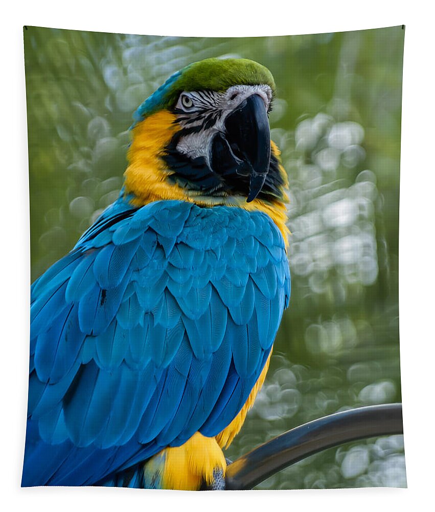 Green Tapestry featuring the photograph Blue Yellow Macaw No.2 by Mark Myhaver