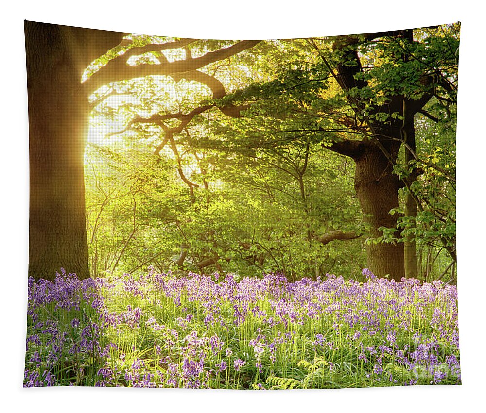 Bluebells Tapestry featuring the photograph Bluebell wood with magical morning sunrise by Simon Bratt