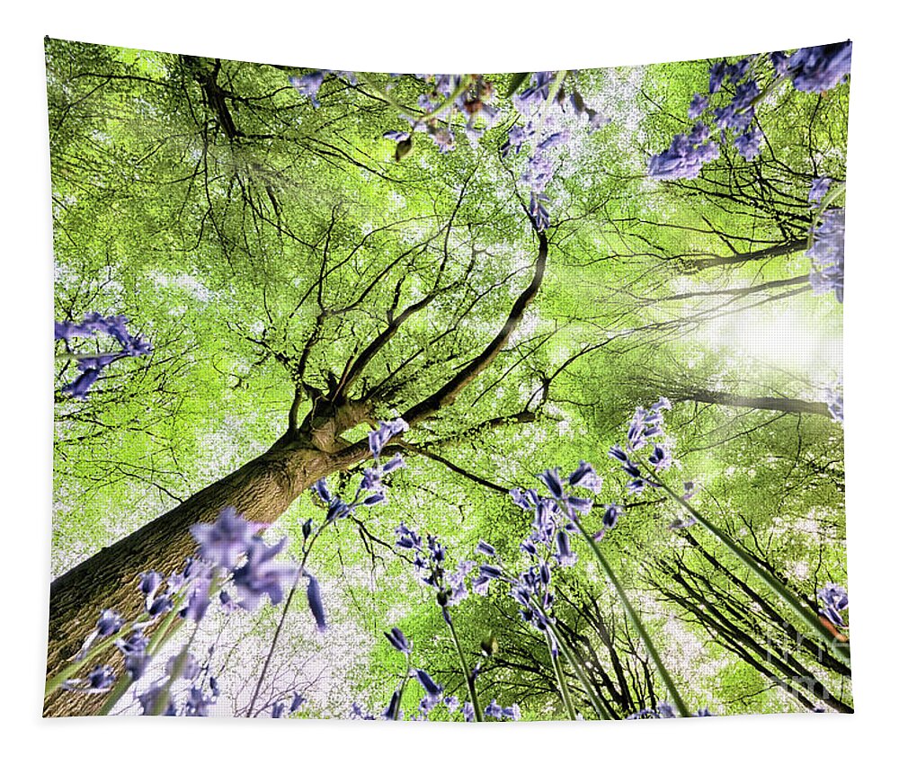 Flowers Tapestry featuring the photograph Bluebells from worms eye view by Simon Bratt