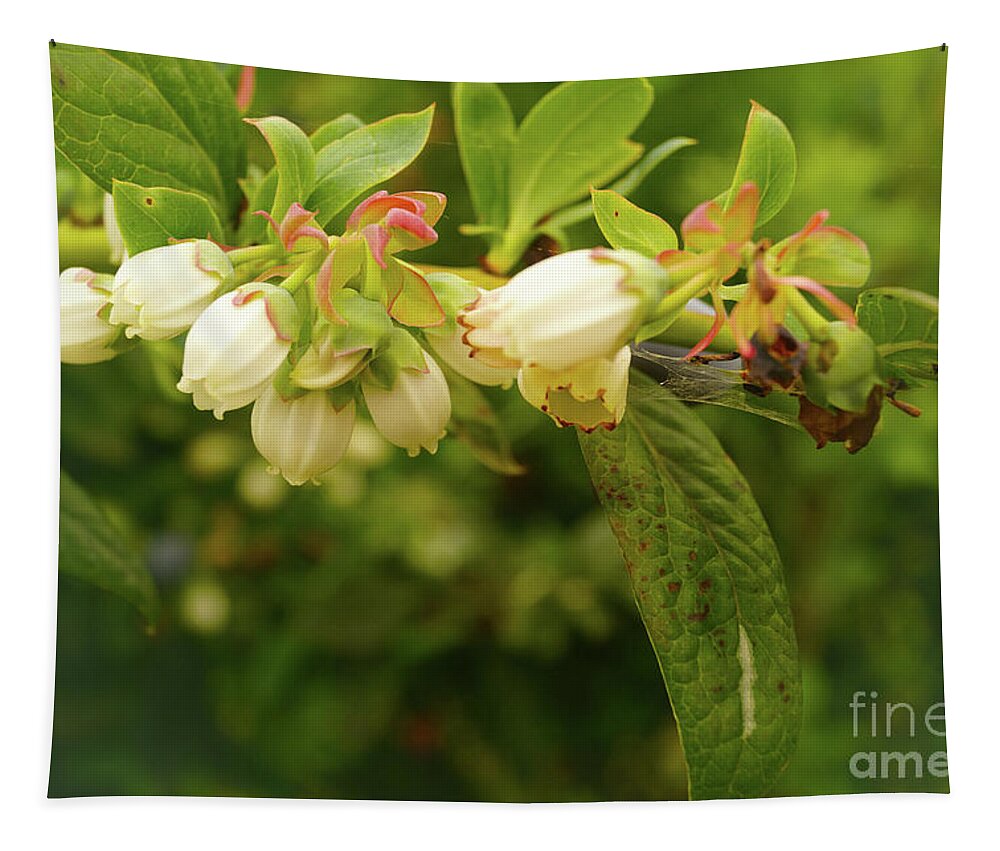 Blueberry Tapestry featuring the photograph Blueberry Blossoms by Cassandra Buckley