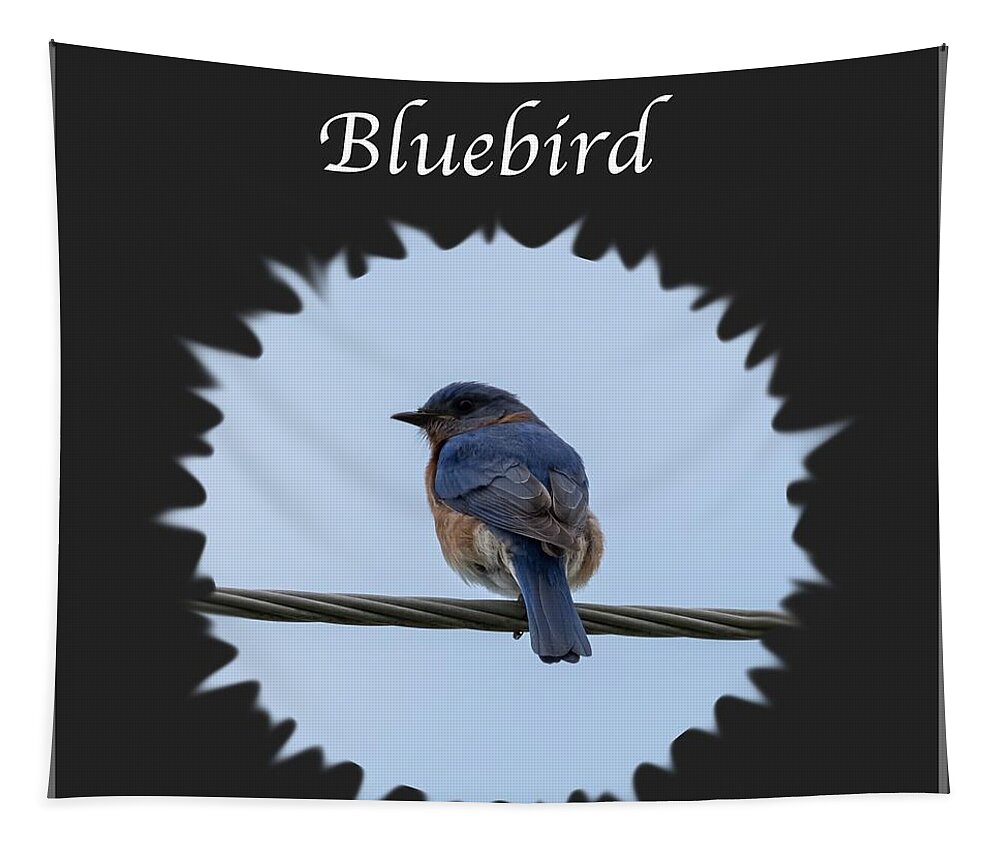 Eastern Bluebird Tapestry featuring the photograph Bluebird by Holden The Moment