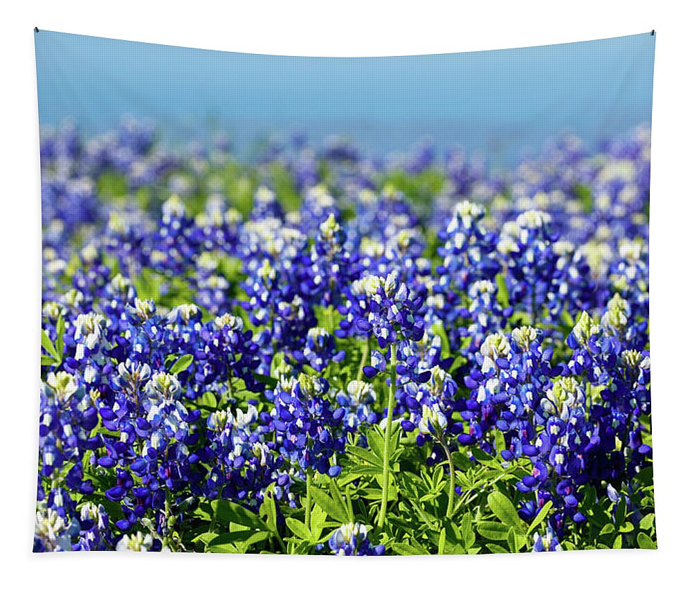 Austin Tapestry featuring the photograph Bluebonnets by Raul Rodriguez