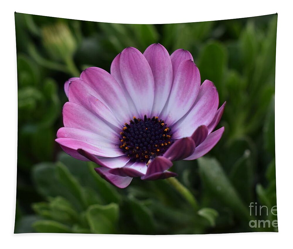 Digital Photography Tapestry featuring the digital art Blushed flower by Yenni Harrison