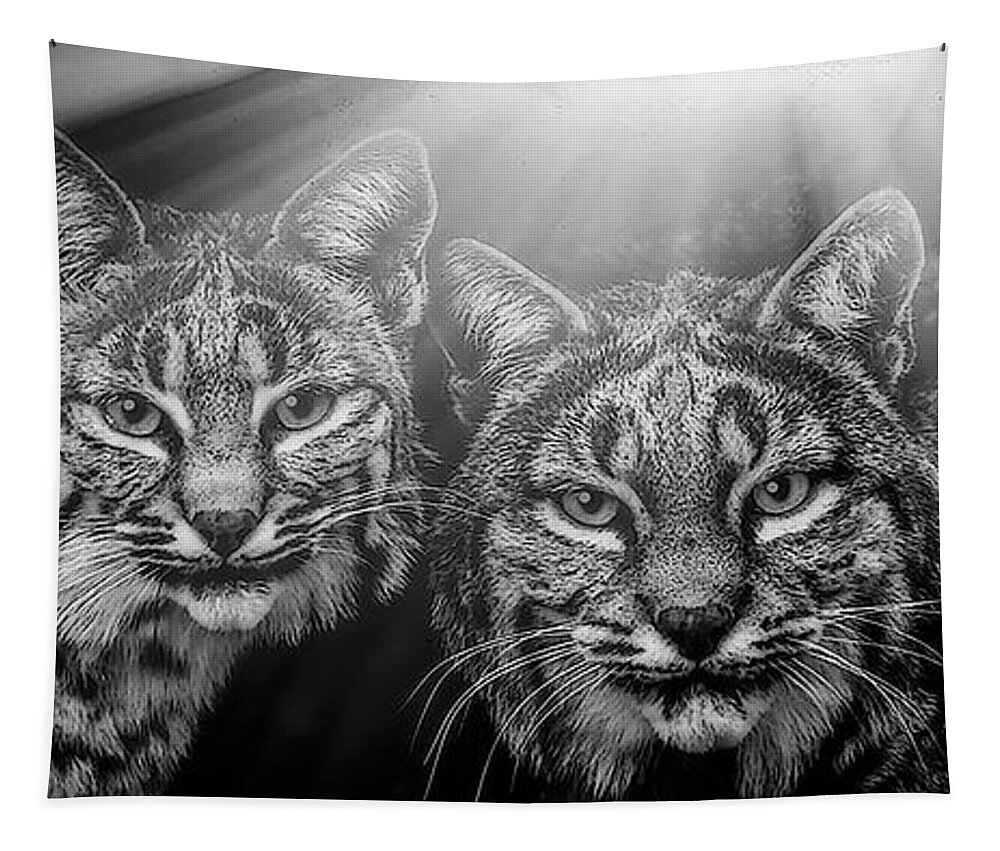 Bobcats Tapestry featuring the mixed media Bobcats by Elaine Malott