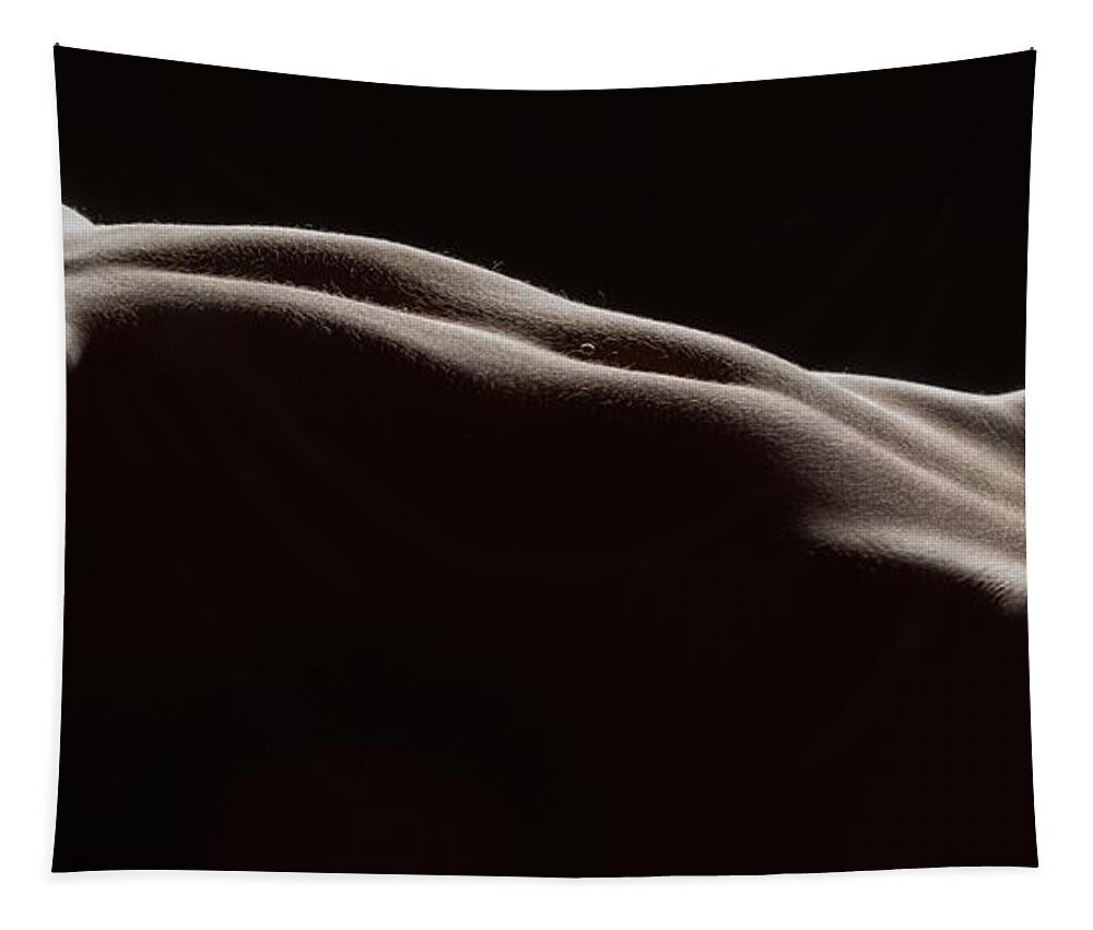 Silhouette Tapestry featuring the photograph Bodyscape 254 by Michael Fryd
