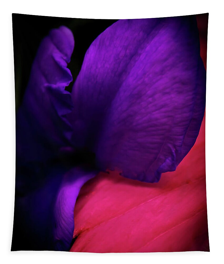 Flowers Tapestry featuring the photograph Bold and Beautiful by Judi Kubes
