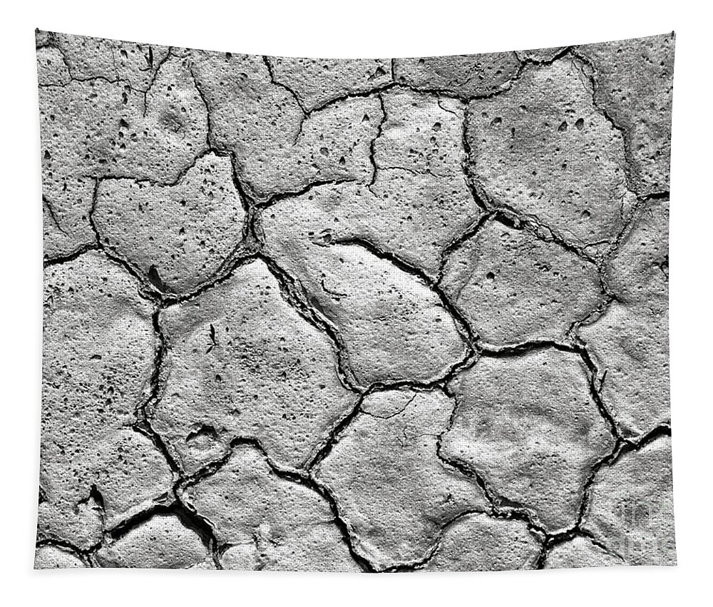 Dry Tapestry featuring the photograph Bone Dry by Olivier Le Queinec
